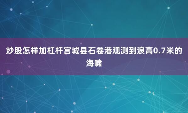 炒股怎样加杠杆宫城县石卷港观测到浪高0.7米的海啸